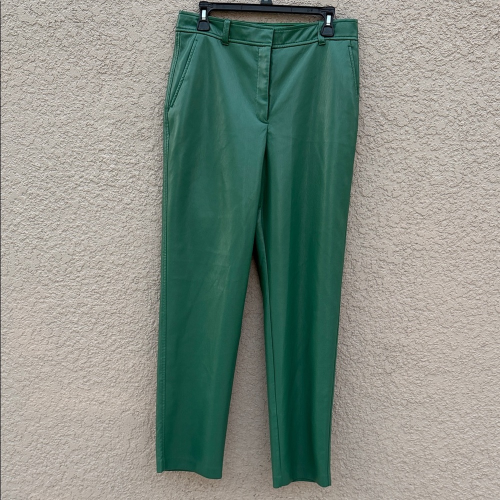 Babaton Emerald Leather Trousers by Aritzia